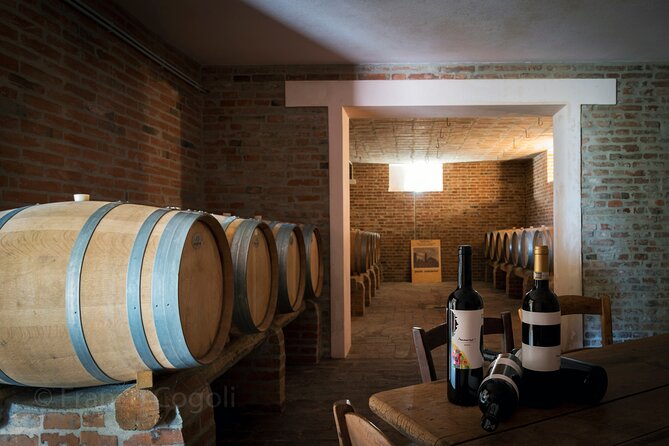 Bologna Wine Tasting & Winery Tour in the Colli Bolognesi - Inside the cellar with oak casks
