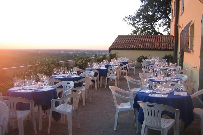 Bologna Wine Tasting & Winery Tour in the Colli Bolognesi - Reaching Zola Predosa without a car