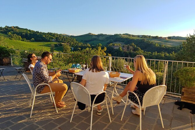 Bologna Wine Tasting & Winery Tour in the Colli Bolognesi - Is $58.87 a fair price?