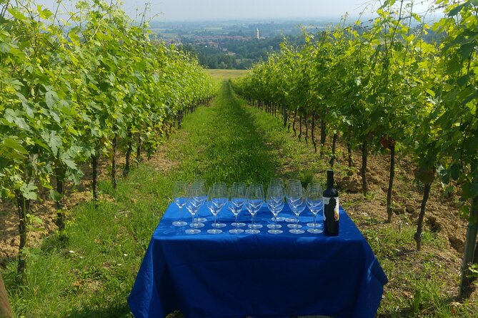 Bologna Wine Tasting & Winery Tour in the Colli Bolognesi - Who will enjoy this winery visit?