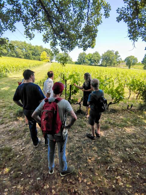 Bordeaux by Gravel Bike : Historic center & vineyards - From the Chartrons wine quarter to the Garonne