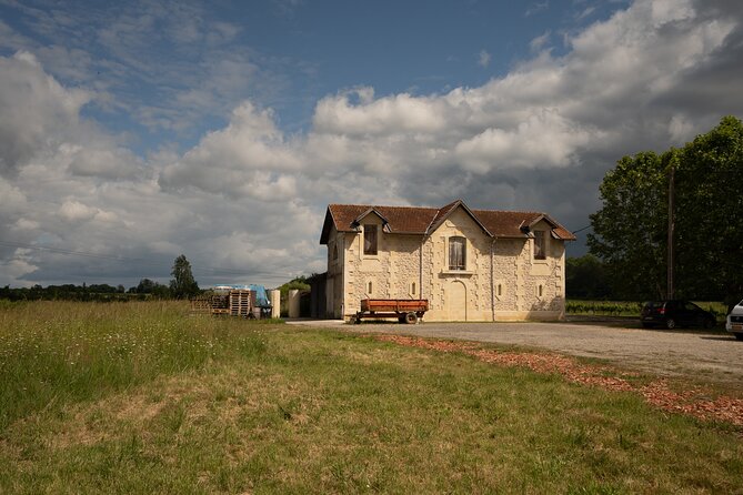 Bordeaux: Explore an Organic Family Vineyard with Tasting - A tasting that goes well beyond Bordeaux red