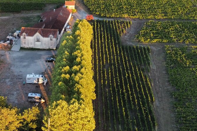 Bordeaux: Explore an Organic Family Vineyard with Tasting - Who will enjoy this vineyard visit most?