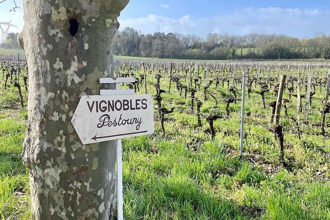 Bordeaux: Explore an Organic Family Vineyard with Tasting - Practical details before you book