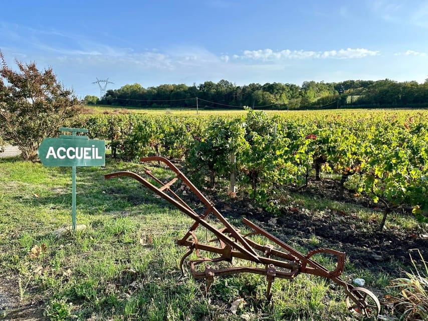 Bordeaux: Explore an Organic Family Vineyard with Tasting - Practical tips for a smoother visit