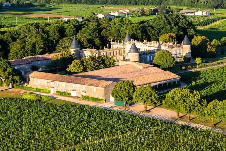 Bordeaux: Panoramic flight over vineyards and castles - Seeing Bordeaux wine country from a small plane