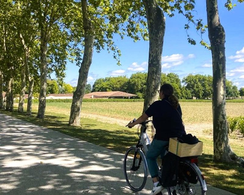 Bordeaux: St-Emilion Vineyards e-Bike Tour with Wine & Lunch - Weather, fitness, and practical limits