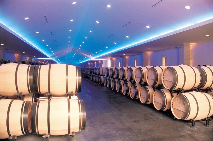 Bordeaux: Vineyards Wine Tasting Half-Day Trip - Médoc: two château visits and four wines