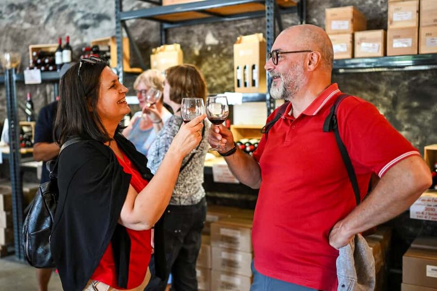 Bordeaux: Vineyards Wine Tasting Half-Day Trip - Blaye, Bourg, and the Citadel