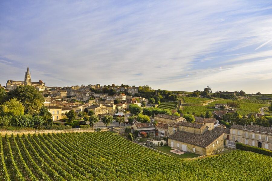 Bordeaux: Vineyards Wine Tasting Half-Day Trip - Who will get the most from this tour?