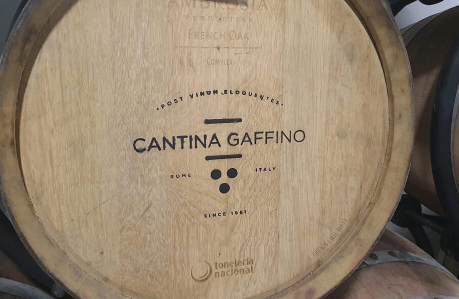 Boutique Winery Visit & Tasting near Rome - Inside the winery: tanks, barrels, and patient work