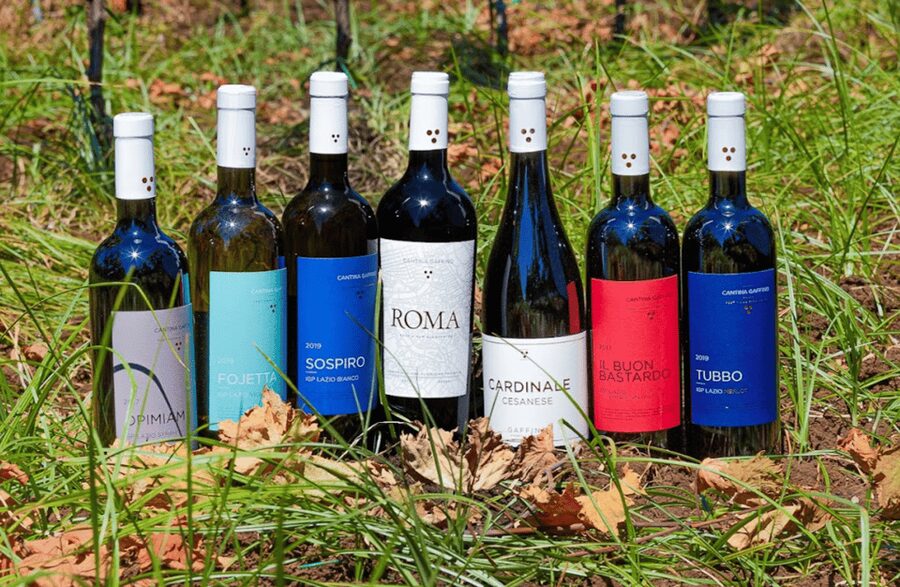 Boutique Winery Visit & Tasting near Rome - Getting to Gaffino from Rome