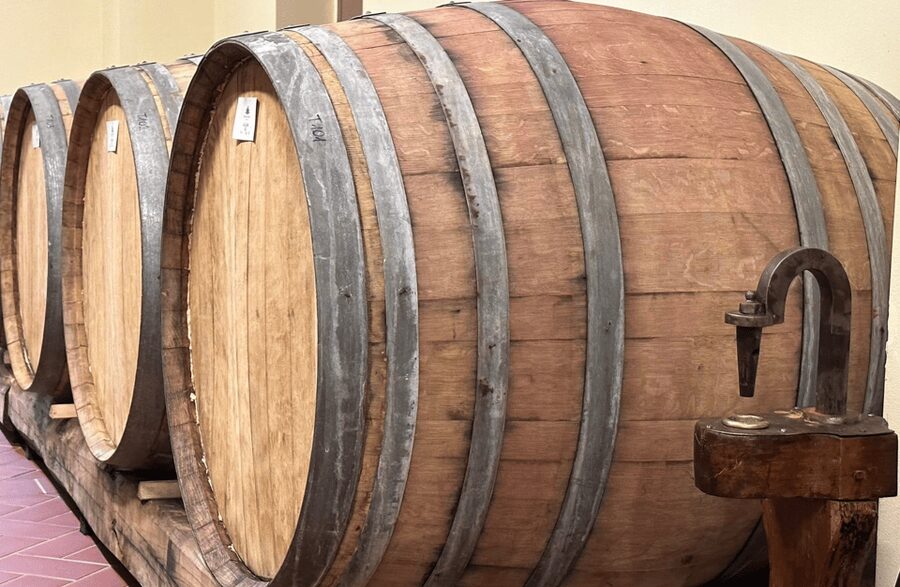 Boutique Winery Visit & Wine Tasting near Arezzo - A small estate with big Tuscan credentials