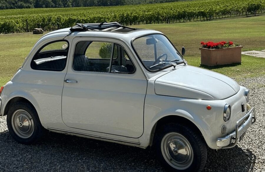 Boutique Winery Visit & Wine Tasting near Arezzo - Three wines, olive oil, and a light Tuscan snack