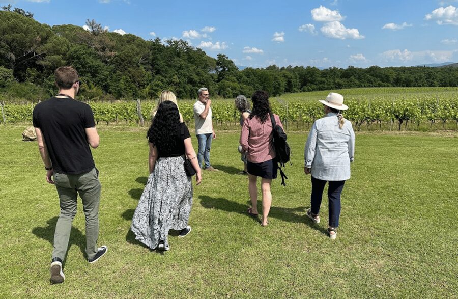 Boutique Winery Visit & Wine Tasting near Arezzo - Why the one-hour format can work