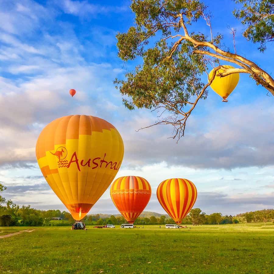 Brisbane: Hot Air Balloon Flight with Vineyard Breakfast - Breakfast at O’Reilly’s Canungra Valley Vineyards