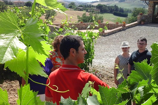 Brunello Vineyards Bus Tour - Is $216.74 a fair price?