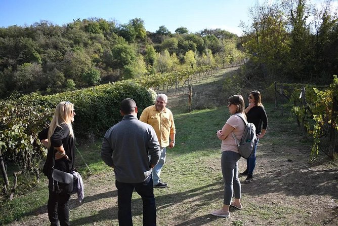 Brunello Vineyards Bus Tour - Timing, meeting point, and pickup