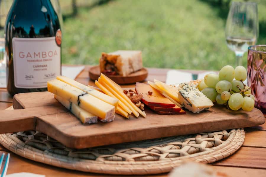Buenos Aires: Wine Tasting & Lunch at Gamboa Vineyard - Key points to know before booking