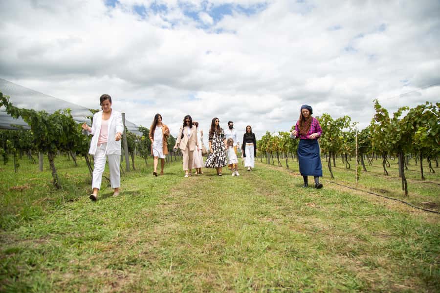 Buenos Aires: Wine Tasting & Lunch at Gamboa Vineyard - The strongest parts of the experience
