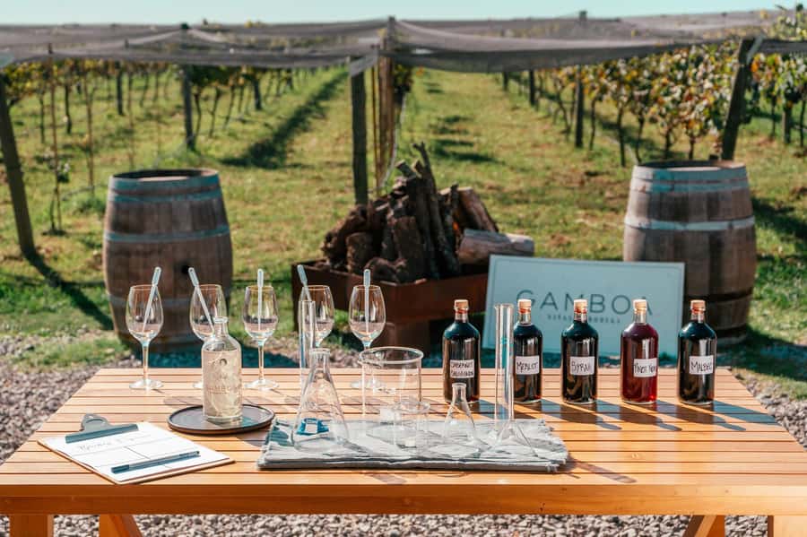 Buenos Aires: Wine Tasting & Lunch at Gamboa Vineyard - Why Gamboa works as a Buenos Aires day trip