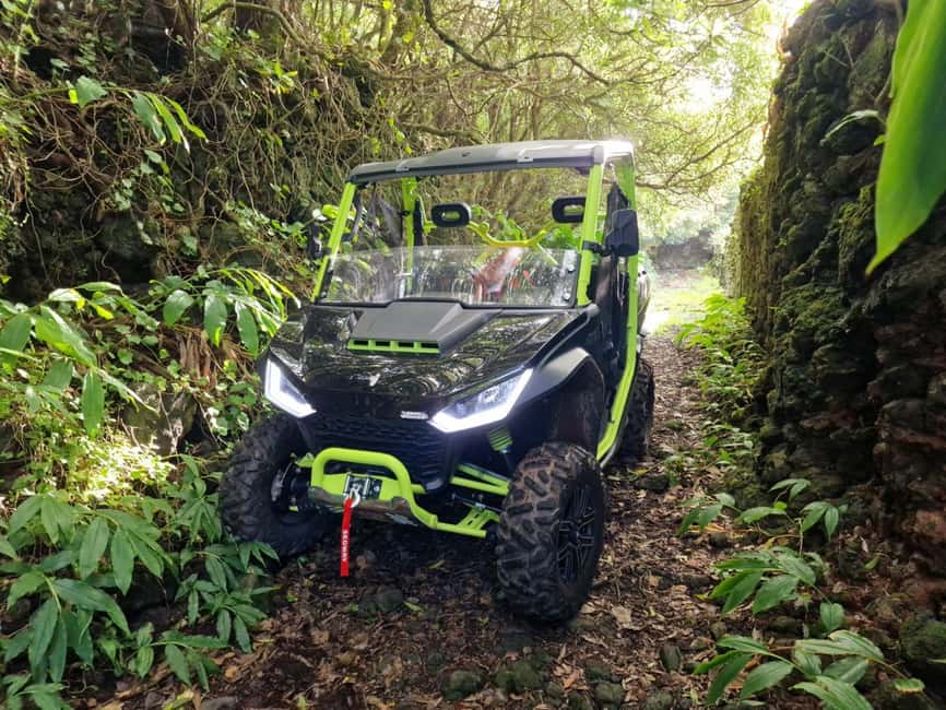 Buggy ride through the vineyards of Pico Island - Vineyard walls, high pastures, and Pico’s volcanic ground