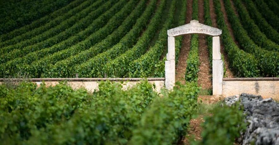 Burgundy Vineyards: Luxury Private Tours - Key points at a glance