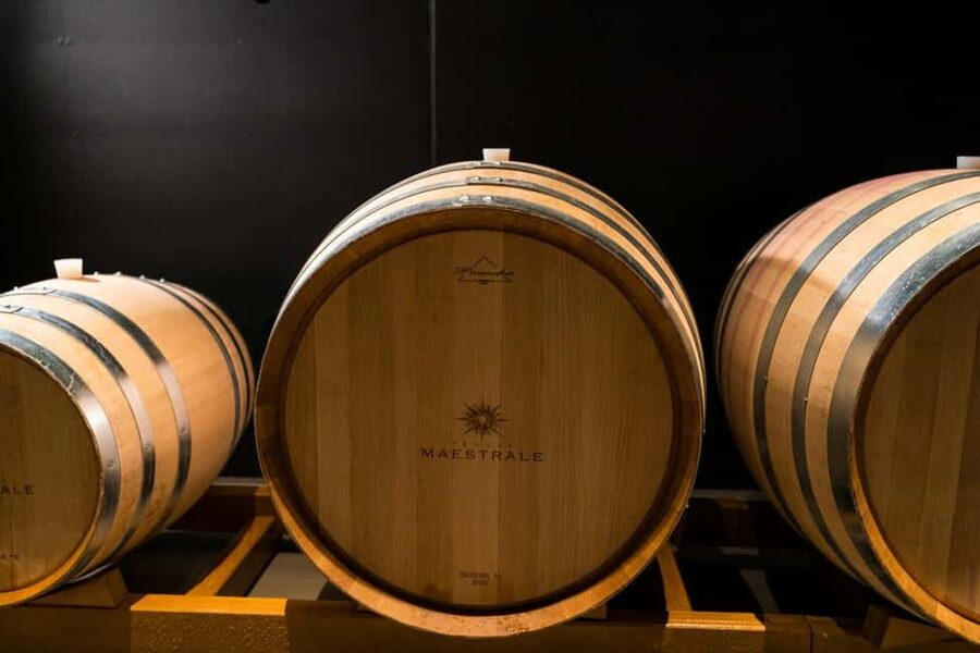 Cagliari - Guided tour of the vineyard and winery with tasting of 5 wines - Booking, languages, and a sensible plan