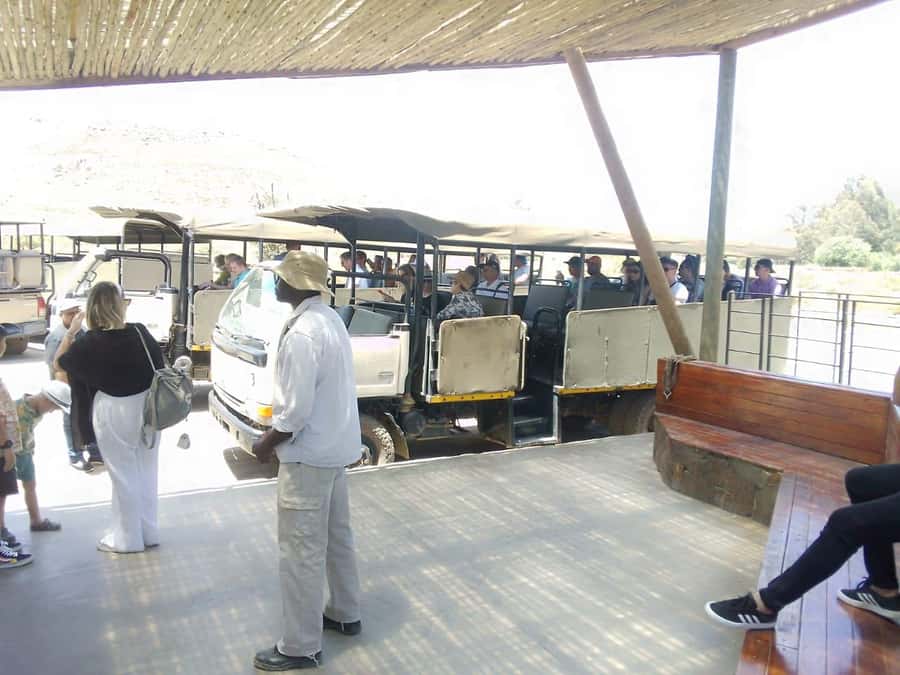 Cape Town: Aquila Reserve Safari with Lunch and Winery Visit - From Aquila to Fairview in Paarl