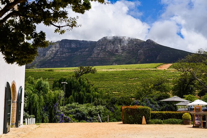 Cape Town: Constantia Wine Route Tour - La Motte adds art and heritage to the route
