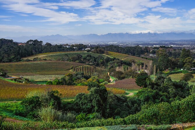 Cape Town: Constantia Wine Route Tour - The price makes sense for a certain kind of day