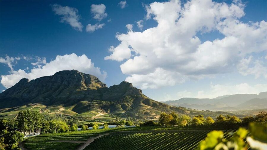Cape Wineland 3 Award Winning Vineyards - Fairview, where cheese gives the tasting extra character