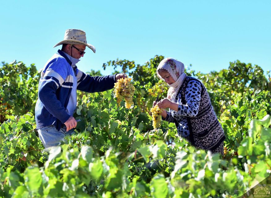 Cappadocia: Private Half-Day Vineyards & Wine Tasting Tour - Two more winery visits and local flavor