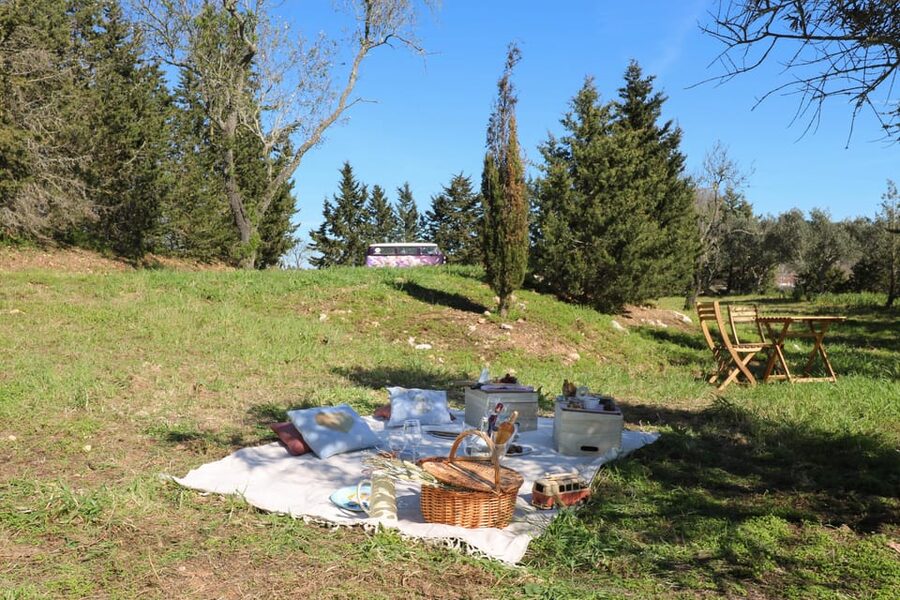 Carvoeiro, Portimão, Lagos: Algarve Romantic Vineyard Picnic - FAQ