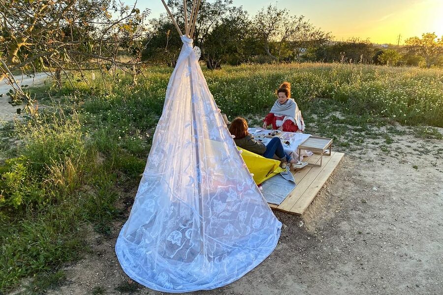 Carvoeiro, Portimão, Lagos: Algarve Romantic Vineyard Picnic - The 20-Minute Vineyard and Winery Visit