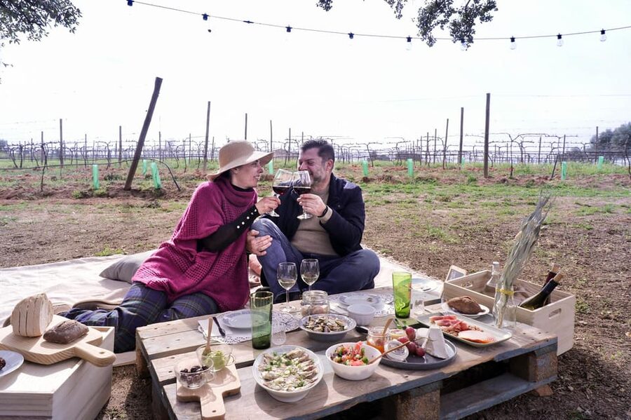 Carvoeiro, Portimão, Lagos: Algarve Romantic Vineyard Picnic - Practical Advice Before You Go