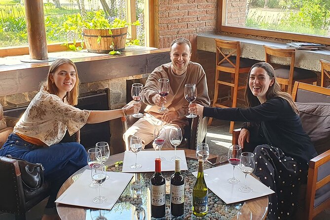 Casablanca world class wines, 4 vineyards & Tanino lunch stop - What the $149 price gives you