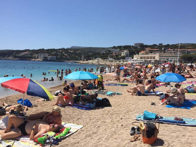 Cassis, Bandol, Le Castellet wine tour: Cliffs and Vineyards - Cassis, markets, and time by the water