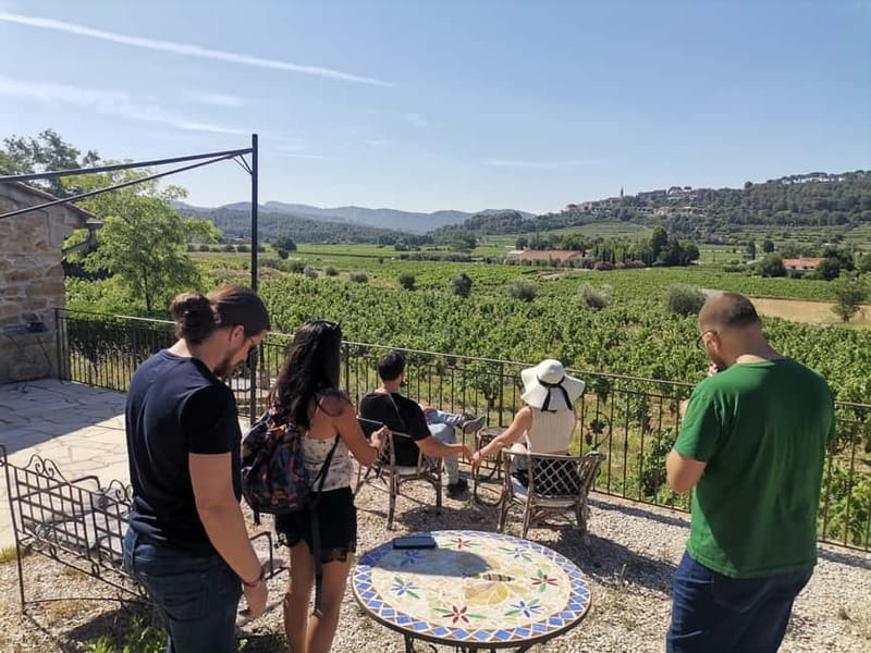 Cassis, Bandol, Le Castellet wine tour: Cliffs and Vineyards - What the $194 price includes