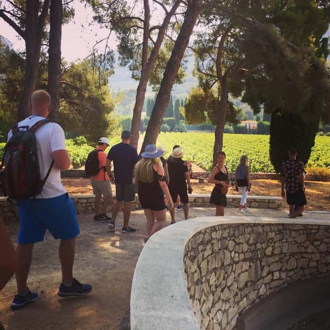 Cassis, Bandol, Le Castellet wine tour: Cliffs and Vineyards - Group size, guides, and the pace of the day