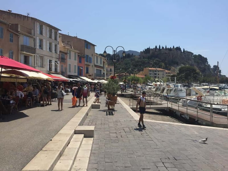 Cassis, Bandol, Le Castellet wine tour: Cliffs and Vineyards - Choosing your Calanques experience
