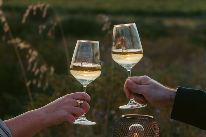 Castelsardo Vineyard and Wine Tasting Experience with Sunset - Three glasses and traditional Sardinian bites