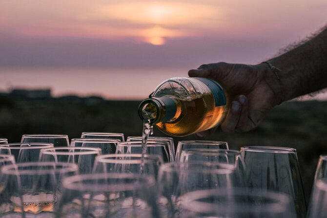 Castelsardo Vineyard and Wine Tasting Experience with Sunset - Who will enjoy this evening most