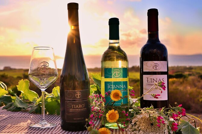Castelsardo Vineyard and Wine Tasting Experience with Sunset - Walking through the vineyard near Sorso