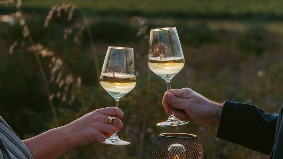 Castelsardo: visit a vineyard with wine tasting at sunset - Why this Castelsardo wine evening works