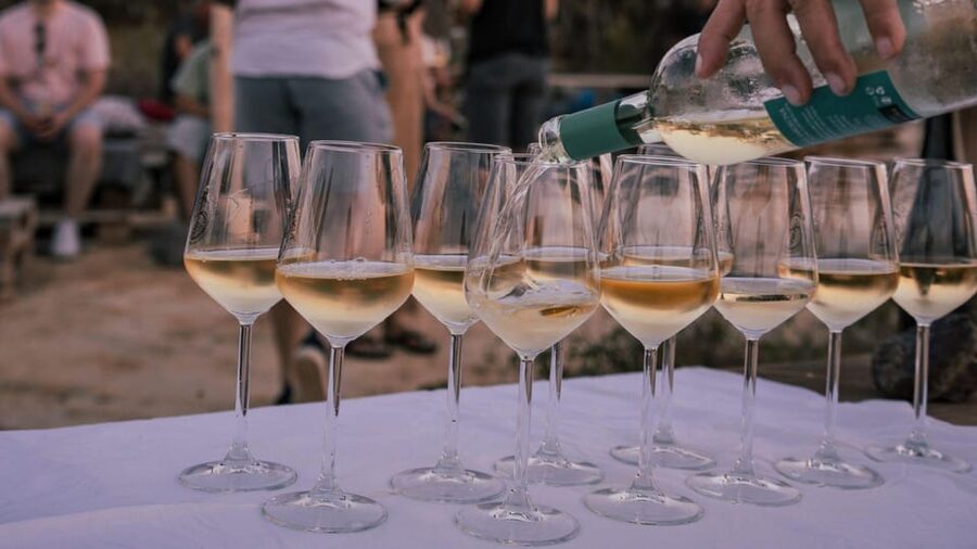 Castelsardo: visit a vineyard with wine tasting at sunset - Who should book this experience?