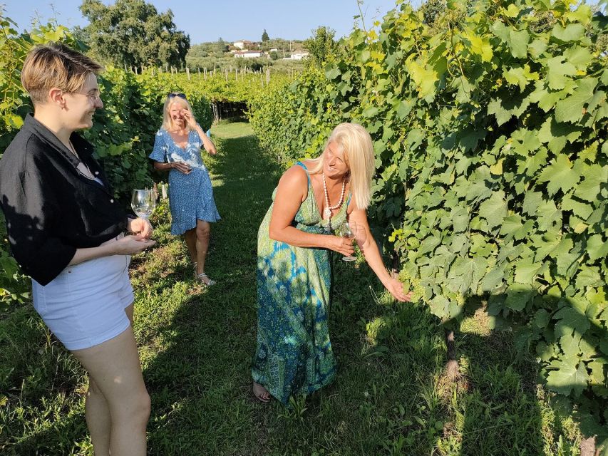 Cavaion: Lake Garda Wine & Food Tasting with Vineyard Tour - A small winery with a clear sense of place