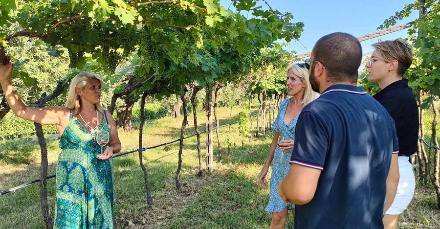 Cavaion: Lake Garda Wine & Food Tasting with Vineyard Tour - How the wine tasting works