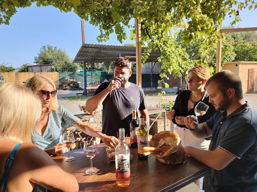 Cavaion: Lake Garda Wine & Food Tasting with Vineyard Tour - A farm shop with useful souvenirs