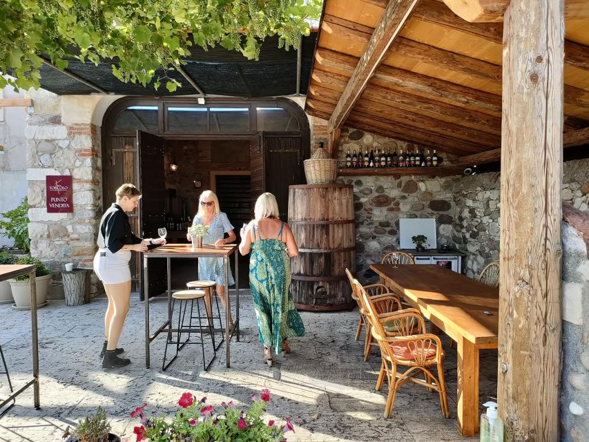 Cavaion: Lake Garda Wine & Food Tasting with Vineyard Tour - What kind of visitor will enjoy it most?